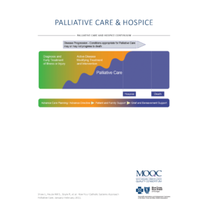 Palliative Care & Hospice Diagrams