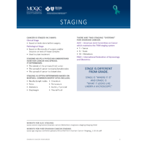 Ovarian Cancer Staging Flyer