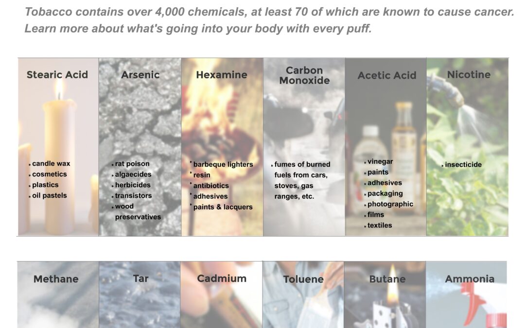 Poster_What is in a Cigarette (11×17)